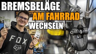 Bremsbeläge am Fahrrad wechselntauschen  Bremssattel schleiffrei einstellen [upl. by Jarlathus]