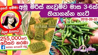 ✔ අමු මිරිස් නැවුම්ව මාස 36ක් තියාගන්න හැටි ENG Sub How to preserve green chilies by Apé Amma [upl. by Meece]