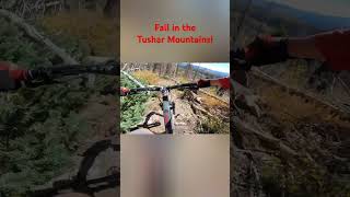 mtb fezzari bicycle aribikes utah fallcolors mountainbike mountainbiking traildog bike [upl. by Aenat197]