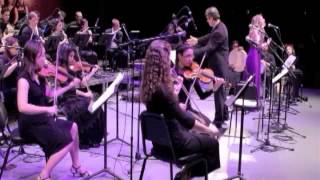 New York Arabic Orchestra  Compilation [upl. by Sylvia]