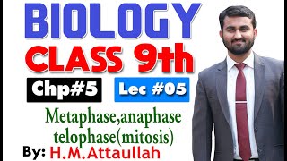 Metaphase anaphase and telophase  Smart syllabus  Chapter 5  9th class Biology  ALP  Lec 5 [upl. by Ysor]