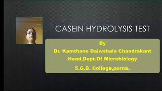 Casein hydrolysis test by Dr Kamthane DC [upl. by Desireah]