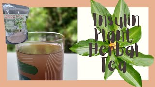 How to Make Insulin Plant Herbal Tea  Costus Igneus Tea [upl. by Earazed466]