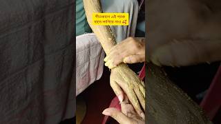 শীতকালে এই প্যাক হাতে লাগিয়ে নাও 😍shorts handcaretips payelzmakeover27 [upl. by Attolrahc]