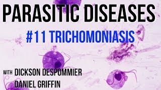 Parasitic Diseases Lectures 11 Trichomoniasis [upl. by Rehm]