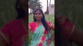 thanthane thamara poo vijayakanth sir song [upl. by Hazeghi]