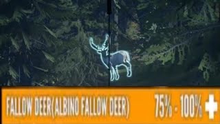 ALBINO FALLOW DEER hirschfelden mission last two parts [upl. by Anirbac]