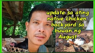 Update sa ating native chicken backyard ngayung buwan ng Augustnativechickenfarming [upl. by Mattheus]