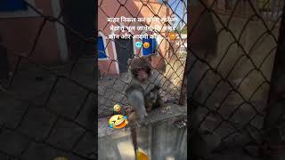 Men vs monkey youtubeshorts funny comedy trending viralvideo shots isunderrawatt 😡😡🤣😡😡 [upl. by Tnarg]