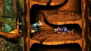 Regal and Hot Tub Play DKC3  Part 4 Belcha [upl. by Irotal]