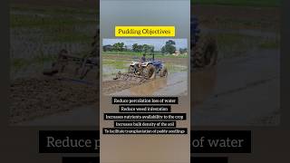 Puddling Objectivesपडलिंग उद्देश्य agriculture agronomy rice [upl. by Asaeret]