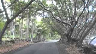 Kapoho Kalapana Road 137 [upl. by Sherborn418]