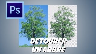 photoshop détourer un arbre [upl. by Htenay745]