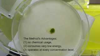 MASS  Microalgae Air Separation Systems [upl. by Burrton]