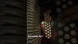 Tus jefes los dorados🪗 Accordión fa begginer musica music taniayanez arranging [upl. by Narine821]