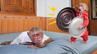 Super funny😂 Monkey Su used pot lid wake Kuku up go drink coffee [upl. by Eamanna]