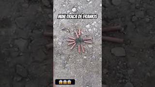 Mini traca de Frankis epic fireworks shortsviral lol [upl. by Inami]