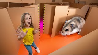 Nastya and the hamsters escape from the cardboard maze [upl. by Sirrot154]