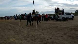 Corrida de Cavalos  Festejo do Fininho no PANova Amazônia P1 [upl. by Bebe]