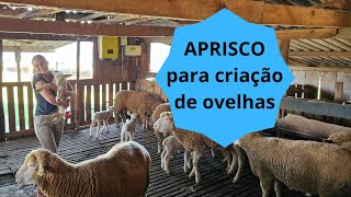 Construindo o aprisco  Dicas para um abrigo ideal para suas ovelhas [upl. by Notnelc]