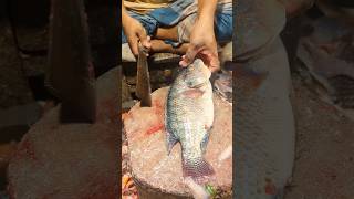 Amazing Tilapia Fish Cutting Skills In Bangladesh Fish Market By Expert Cutter shorts [upl. by Inglebert251]