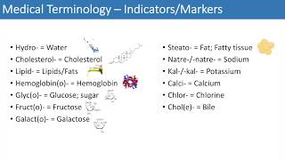 Medical Terminology  The Basics  Lesson 3 [upl. by Richter980]