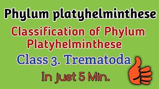 Phylum platyhelminthese classificationTrematodes ClassificationTrematode Character Trematodes [upl. by Atnas402]