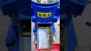 Electric poultry chicken feeds grass pellet making machine diesel cattle pelletizer machine [upl. by Skillern574]