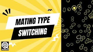 Mating Type Switching  Recombination in Gene Regulation  Recombination  Basics to Advance [upl. by Alekin]