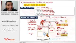 PATOLOGÍA DEL CALCIO Y DE LAS PARATIROIDES  ENDOCRINOLOGÍA  VILLAMEDIC [upl. by Ettenad389]