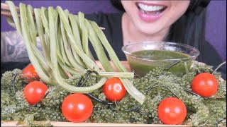 THE MOST CRUNCHY VEGGIE FOR ASMR EATING SOUNDS NO TALKING  SASASMR [upl. by Karee]