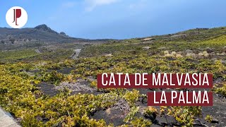 Cata de Malvasia  La Palma [upl. by Ilesara]