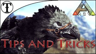 Fast Argentavis Taming Guide  Ark  Survival Evolved Tips and Tricks [upl. by Arodnahs]