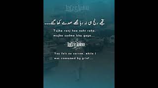 Urdu Status for Heartache  Urdu Sad Status for WhatsApp  Shah Anis Hashmi  Sad Status in Urdu [upl. by Garrik]