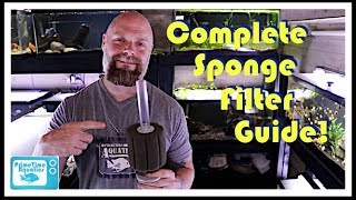 Fish Tank Sponge Filters Everything You Need to Know Assembly  Placement  Flow and More [upl. by Hokanson648]