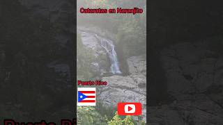 Cataratas en Naranjito Puerto Rico puertorico travel [upl. by Zora]