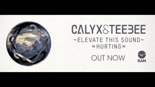 Calyx amp TeeBee  Elevate This Sound Original Mix Amazing Quality [upl. by Ariec]