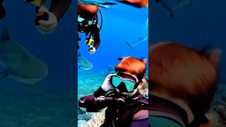 Kids dive with Sharks [upl. by Alan]