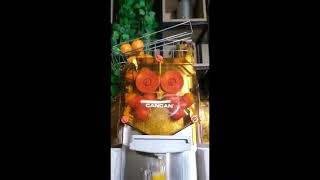 Extracteur de jus pression a froid pour bar à jus juice coldpress coldpressjuicer machine [upl. by Shult]