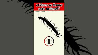 Adivina el animal Nivel Extremo 🟧12 quizanimal [upl. by Oakie]