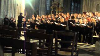 EUMS Chorus  Amiens Cathedral 2011 TOUR [upl. by Jerald]