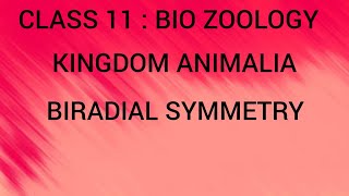 Biradial Symmetry  Kingdom Animalia  Class 11  Bio Zoology  Tamil [upl. by Enej]