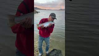 Fishing At Beautiful 11 Mile Reservoir In Lake George Colorado Amazing Fish fishing world fun [upl. by Suitangi]