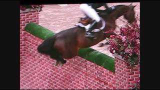 Puissance WIHS  Horse jumps 7 foot wall [upl. by Winonah]