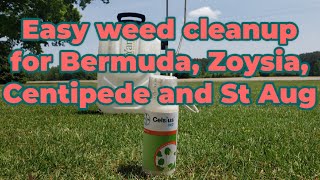 Easy broadleaf and grassy weed clean up using Celsius WG  Bermuda Centipede Zoysia St Augustine [upl. by Neira532]