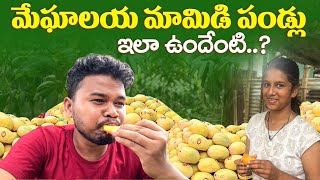 Meghalaya Mangoes  ఇలా ఉంటుందని అనుకోలేదు  Famous summer fruits  North east [upl. by Hynda35]