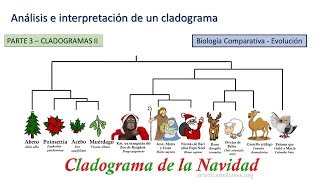 Cladogramas II  BiologiaXXI [upl. by Fatima]