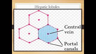 Hemodynamic 2024  jars and slides [upl. by Dlaregztif]