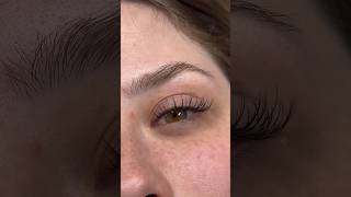 Wispy Lash Breakdown🤍 lashbeauty lashtechtips beautytreatment lashlove lashextensions lash [upl. by Emmeram]