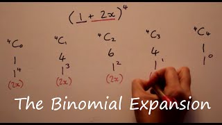 The Binomial Expansion [upl. by Rosaline]